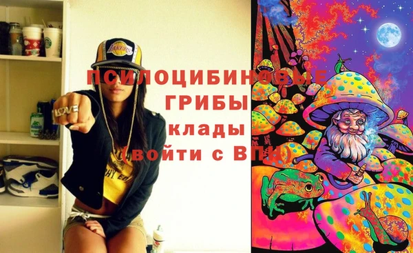 соль курить ск Арсеньев