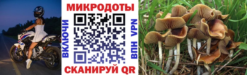 Галлюциногенные грибы Cubensis  Купить  Лебедянь 